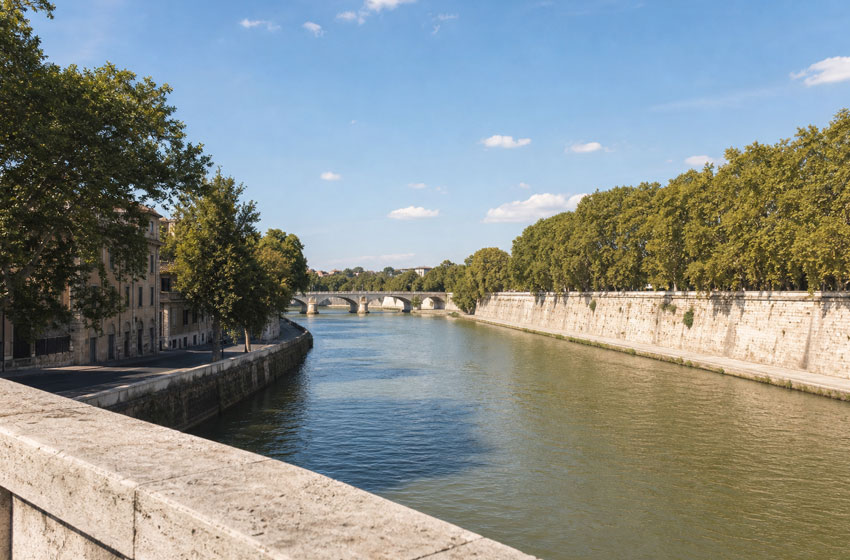 800mila alberi messi a dimora da Città metropolitana di Roma capitale. Nei primi 5 anni la ditta esecutrice sostituirà, senza costi, alberi e arbusti che non attecchiranno